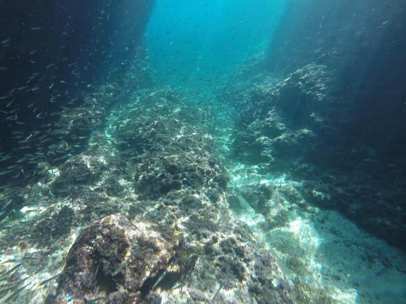 Dubrovnik: Blue Cave Tour by Speedboat with Small Group - Final Words