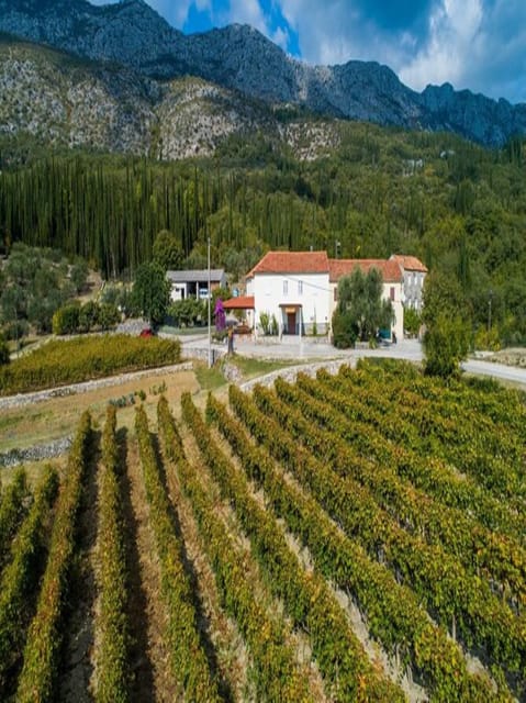 Dubrovnik: Brajković Winery and Ljuta River Tour With … - Booking Information