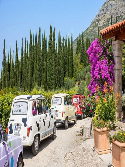Dubrovnik: Brajković Winery and Ljuta River Tour With … - Winerys Storied Cellar