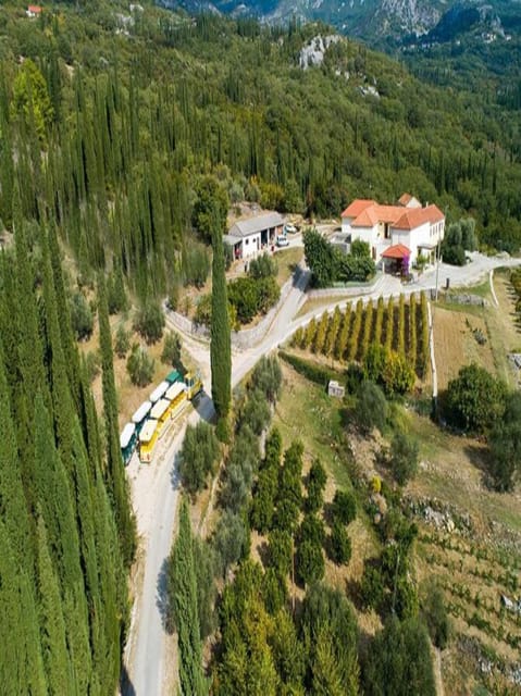 Dubrovnik: Brajković Winery and Ljuta River Tour With … - Frequently Asked Questions