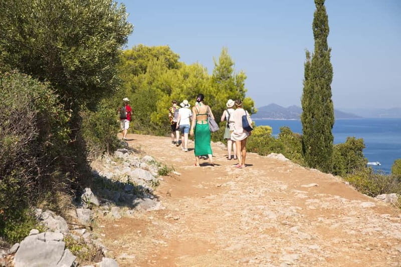 Dubrovnik: Elaphite Island Cruise with Karaka/optional lunch - Snorkeling and Activities