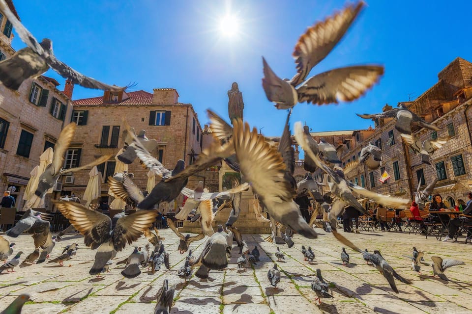 Dubrovnik for Kids: A Playful Family Walking Tour Experience - An Honest Look at the Dubrovnik Kids’ Tour