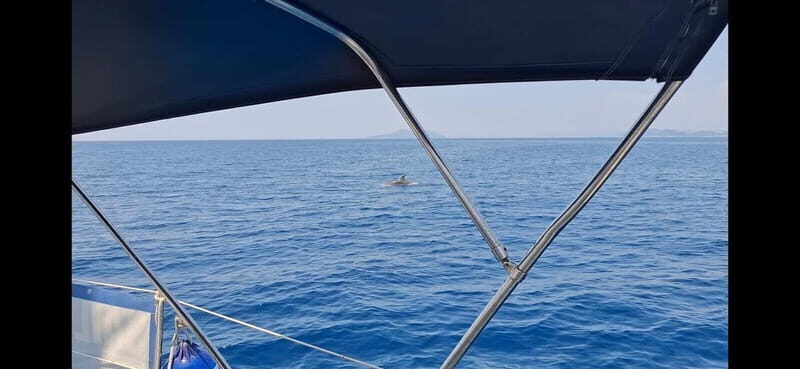 Dubrovnik-Half day Private tour to Elafity islands&Blue cave - Who Is This Tour Perfect For?