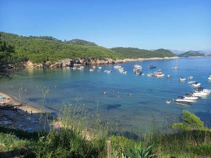 Dubrovnik: Hvar Island Luxury Mini Yacht Tour - Authentic Feedback from Other Travelers