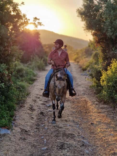 Dubrovnik Kojan Koral: Horseback Riding - Key Points