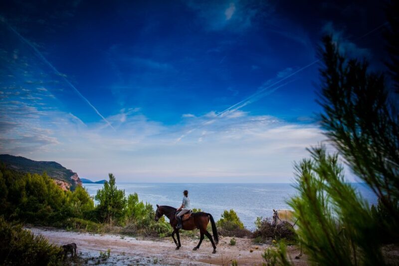 Dubrovnik Kojan Koral: Horseback Riding - An In-Depth Look at the Dubrovnik Kojan Koral Horseback Ride