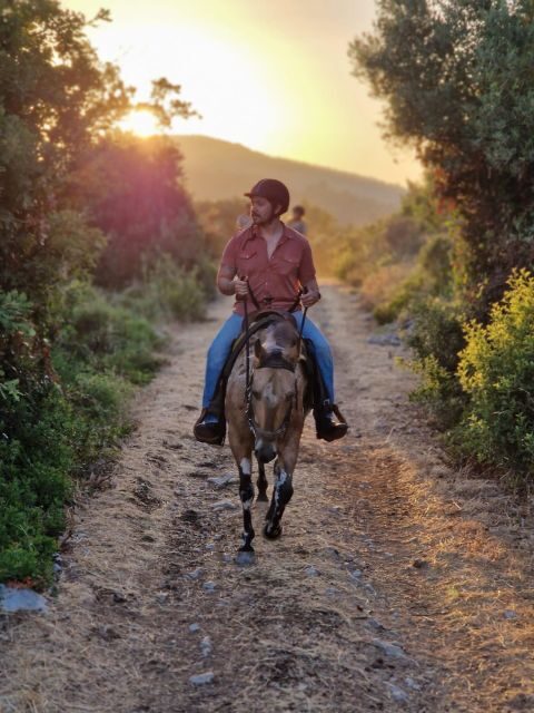 Dubrovnik Kojan Koral: Horseback Riding - Who Will Love This Tour?