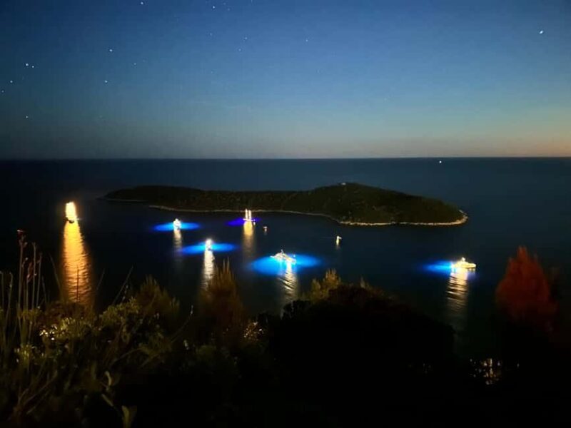 Dubrovnik Night Drive: Lights of the Adriatic - An Evening with Dubrovnik’s Lights and History