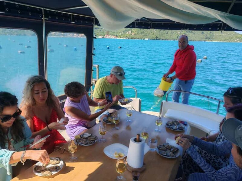 Dubrovnik: Oyster, Mussles, and Wine Tasting Tour in Ston - Frequently Asked Questions
