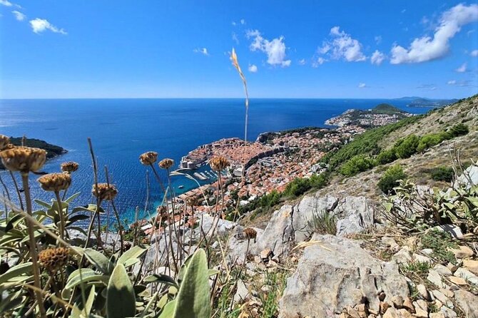 Dubrovnik Panoramic Sightseeing Tour With Guide (Minivan) - Unique Views of Dubrovnik