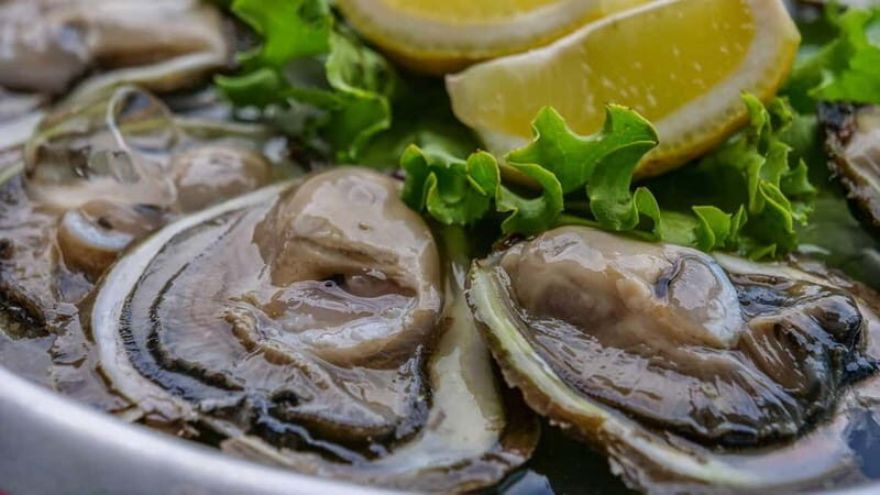 Dubrovnik: Private Tour with Oyster Tasting - Key Points