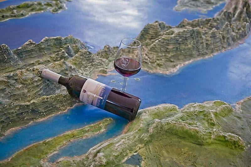Dubrovnik: Private Tour with Oyster Tasting - The Sum Up: Who Will Love This Tour?