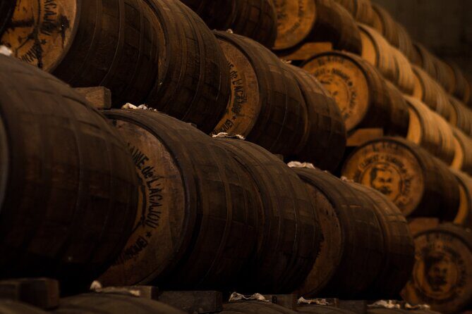 Dubrovnik Private Walking Tour and Wine - Final Thoughts