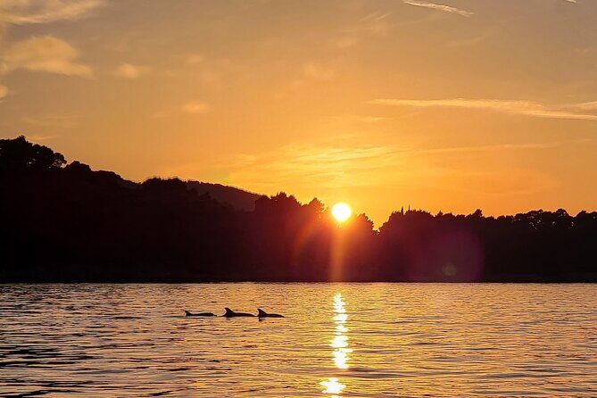 Dubrovnik Romantic Sunset Boat Tour - The Practical Side