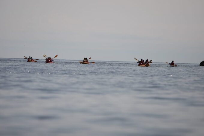 Dubrovnik: Sea Kayaking Morning, Daytime, or Sunset Tours - The Sum Up