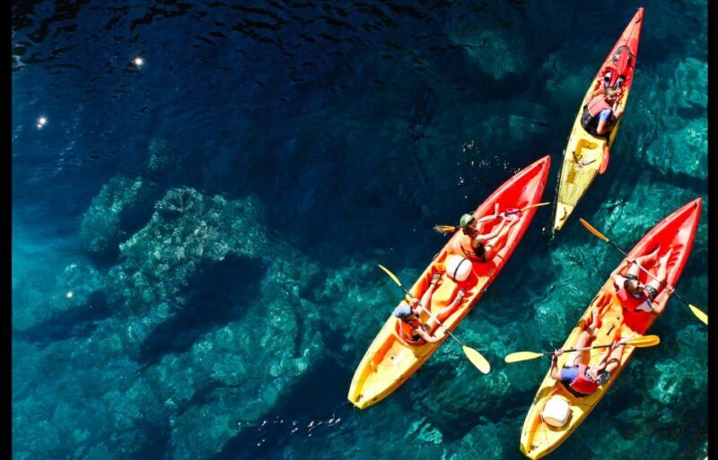 Dubrovnik: Sea Kayaking Tour - Authentic Traveler Insights