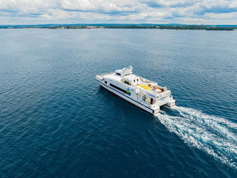 Dubrovnik to/from Kotor: Day Trip or One-Way by Fast Ferry - Key Points