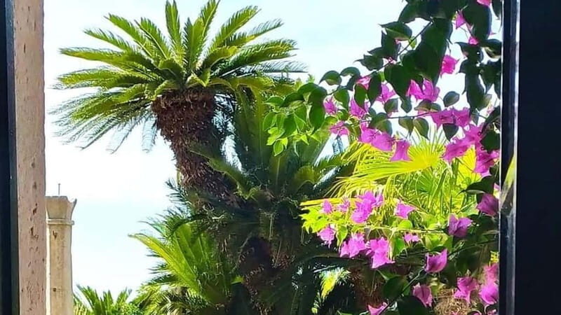 Dubrovnik Views & Trsteno Botanical Garden Experience - Key Points