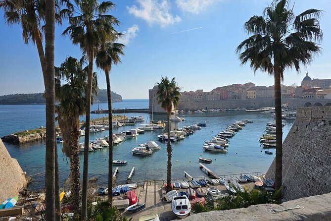 Dubrovnik Walking Tour with a FREE Polaroid Photo - What Travelers Can Expect