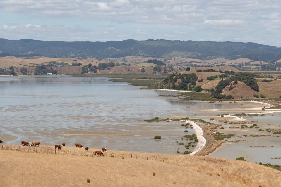 Duder Regional Park Walking Tours - Key Points
