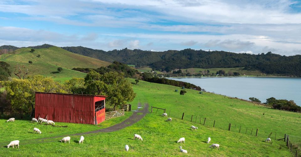 Duder Regional Park Walking Tours - Itinerary Highlights