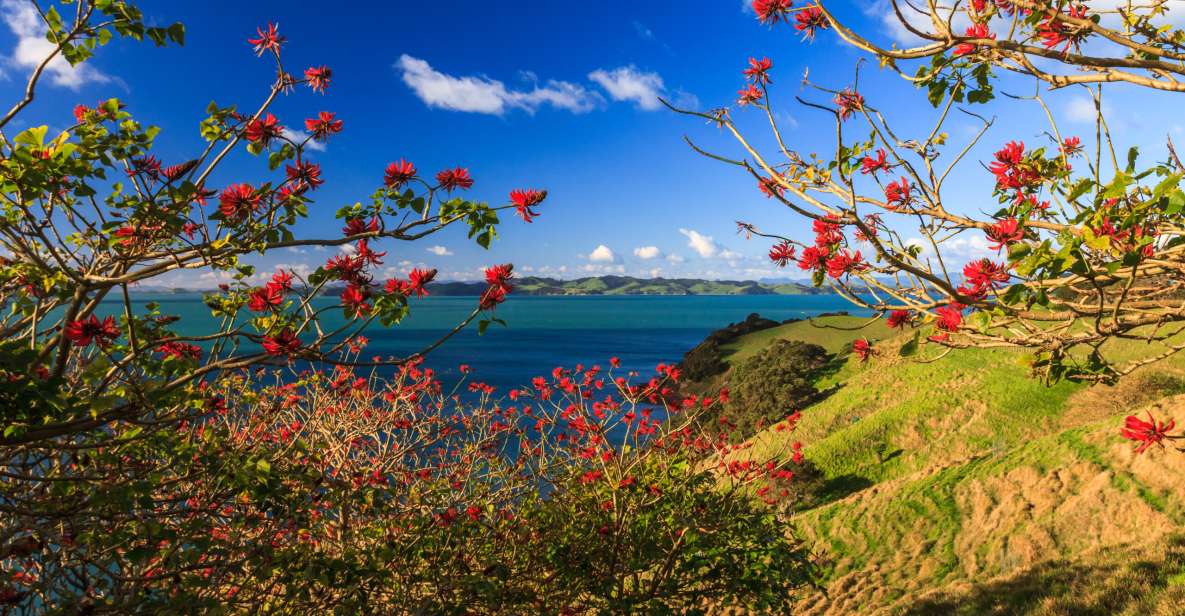 Duder Regional Park Walking Tours - Conservation Focus