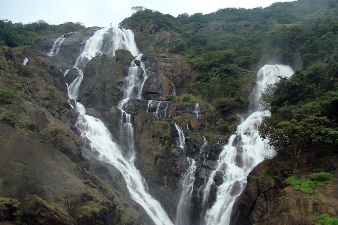 Dudhsagar Waterfall Wildlife & Spice Plantation Tour in Goa - Dudhsagar Falls Highlights