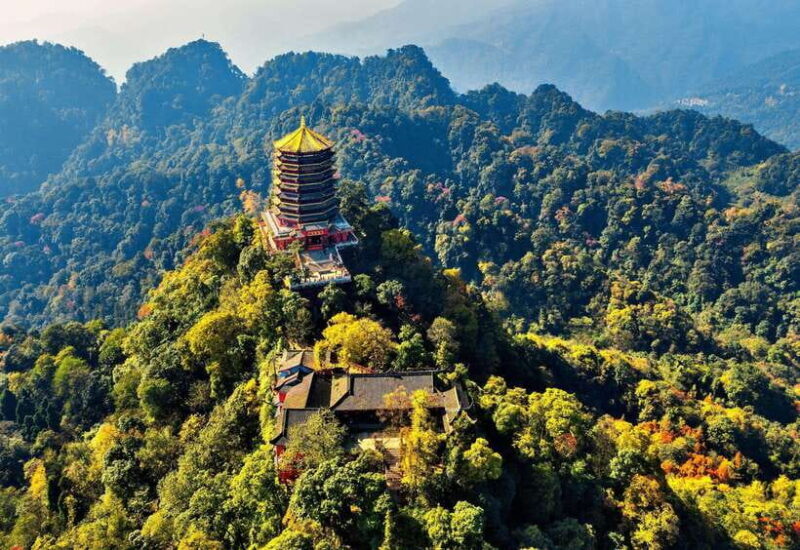 Dujiangyan Irrigation System & Mount Qingcheng Private Tour - A Closer Look at the Tour Experience