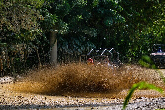 Dune Buggy Adventure at Punta Cana - Authenticity and Traveler Insights