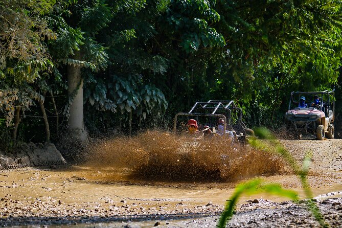 Dune Buggy Adventure at Punta Cana - Unique Activities Offered