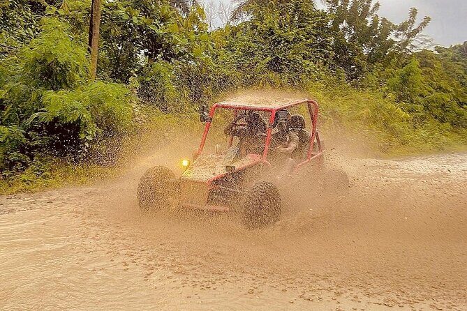 Dune Buggy Adventure from Amber Cove and Taino Bay Puerto Plata - Practical Details & What It Means for You
