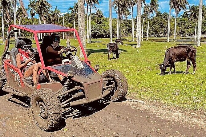 Dune Buggy Adventure from Amber Cove and Taino Bay Puerto Plata - The Sum Up