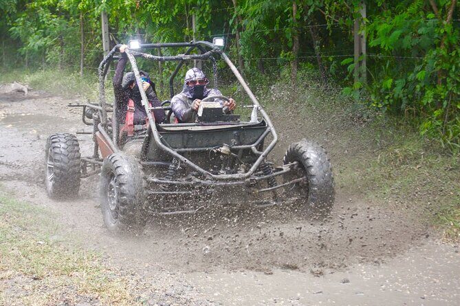Dune Buggy Adventure in Puerto Plata  Mud, Rivers & Jungle Fun - Key Points  