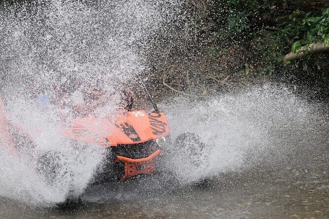 Dune Buggy Adventure in Puerto Plata  Mud, Rivers & Jungle Fun - Introduction: Why This Tour Stands Out