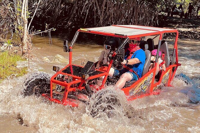 Dune Buggy Adventure in Puerto Plata  Mud, Rivers & Jungle Fun - What the Reviews Say  