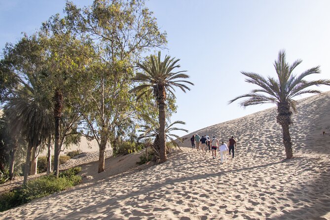 Dune Buggy at Sunset & Sandboarding From Huacachina or Ica - Driving Through Dunes