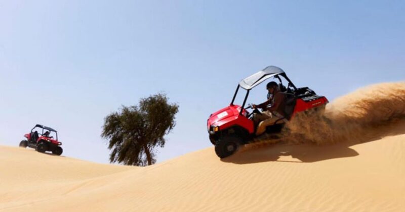 Dune Buggy Desert Safari From Sharm El Sheikh - Tips for Your Adventure
