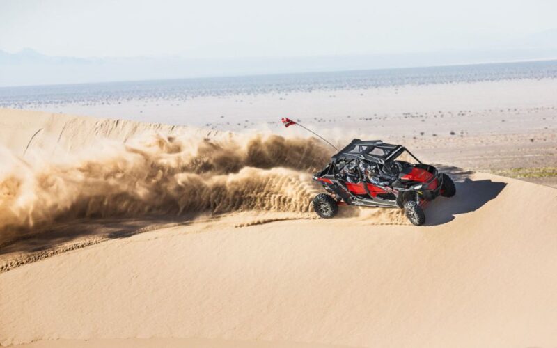 Dune Buggy Desert Safari From Sharm El Sheikh - Inclusions and Requirements