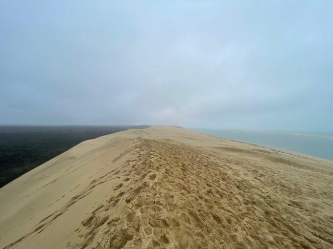 Dune Du Pilat and Oysters Tasting ! What Else ? - Customer Feedback and Ratings