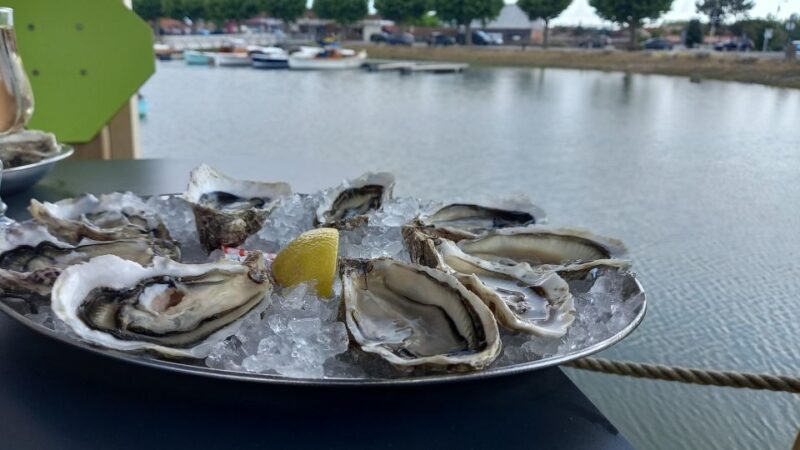Dune du Pilat, Oysters Tasting and Arcachon! What else ? - Final Thoughts