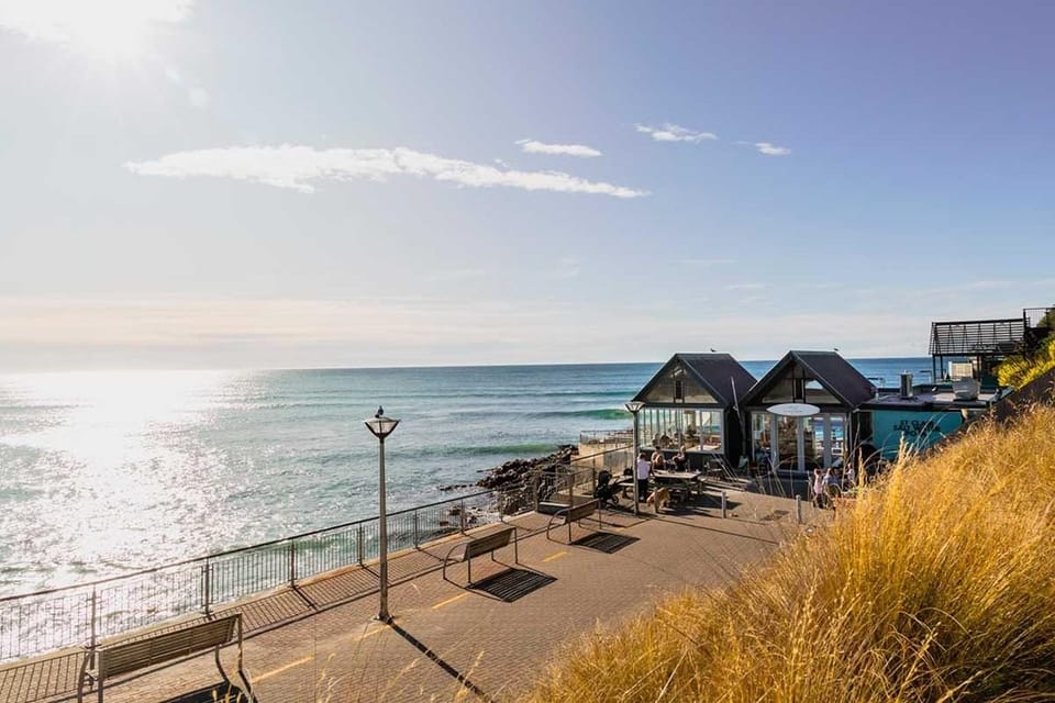 Dunedin: 3 Hour Artisan Food Walking Tour - Price and Value Analysis