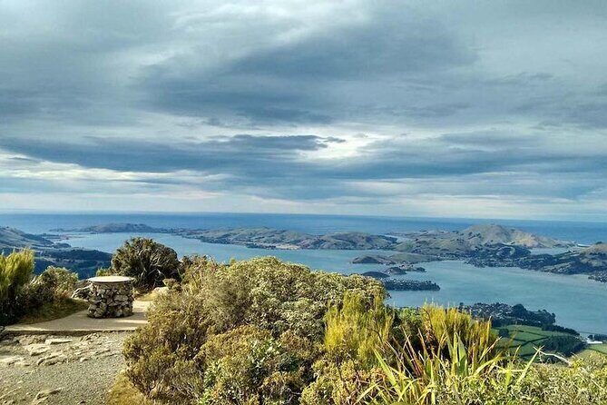 Dunedin 4 Hrs halfday Private Tour - The Sum Up  