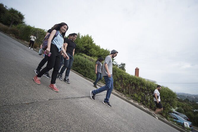 Dunedin 4 Hrs halfday Private Tour - FAQs  