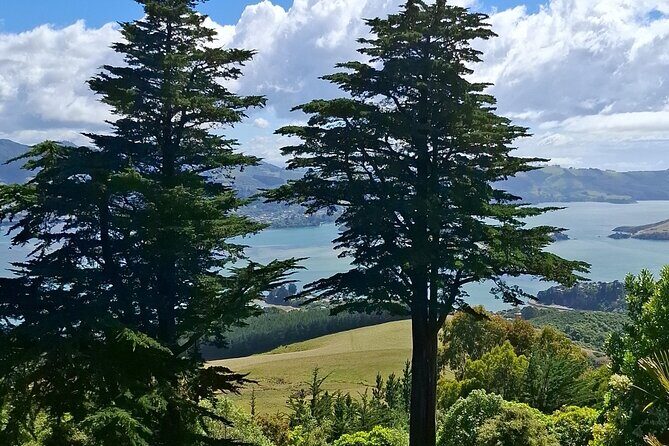Dunedin and Otago Peninsula Private Tours Up to 4 people - Final Thoughts