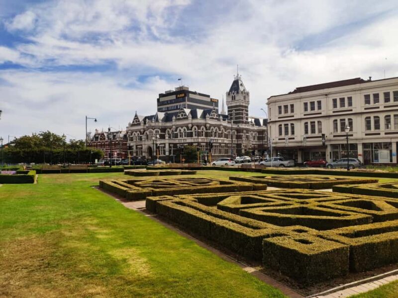 Dunedin City & Coastal Views 3-Hour Small-Group Tour - A Deep Dive into the Dunedin Experience