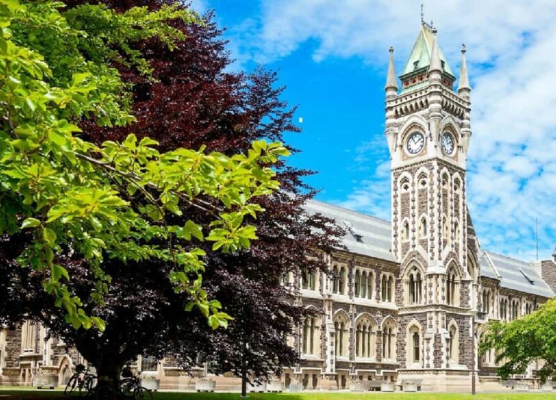 Dunedin City & Coastal Views 3-Hour Small-Group Tour - Why This Tour Works