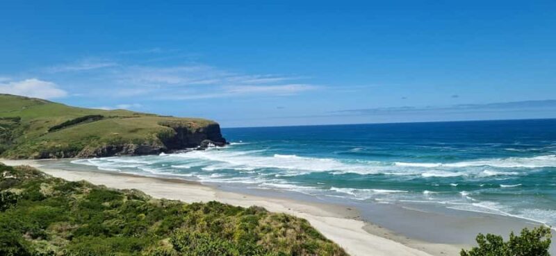 Dunedin City & Coastal Views 3-Hour Small-Group Tour - Frequently Asked Questions