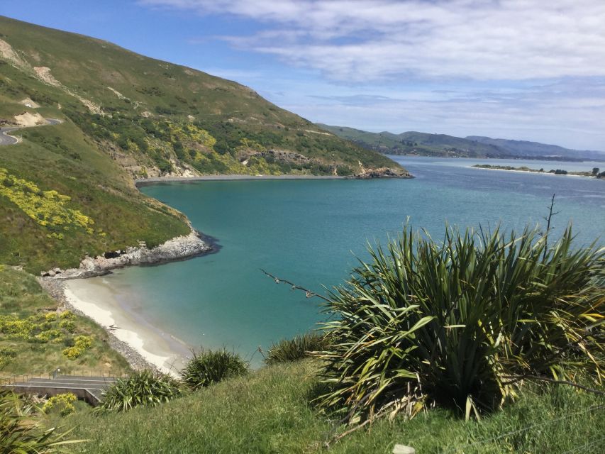 Dunedin: City Highlights and Otago Peninsula Scenery - Itinerary