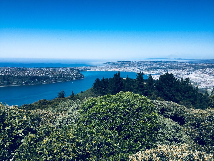 Dunedin: City Highlights and Otago Peninsula Scenery - Important Information