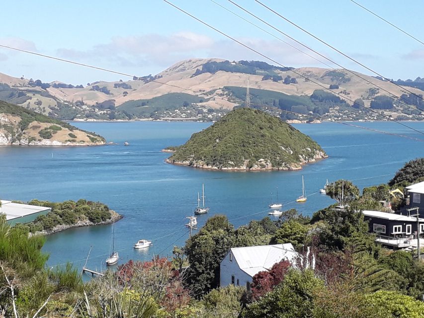 Dunedin: City Highlights and Otago Peninsula Scenery - Inclusions